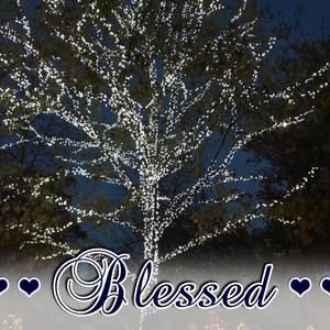 Meet your Posher, Judie